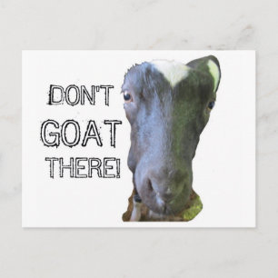 Goat "DON'T GOAT THERE" Postcard