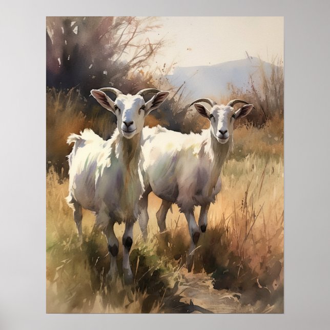Goat Farm Animal Art Print Poster (Front)