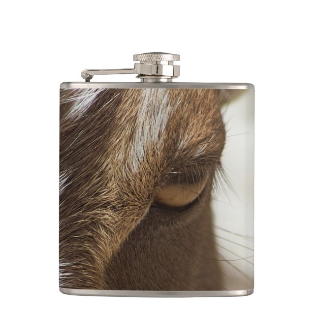 Goat Flask (Front)
