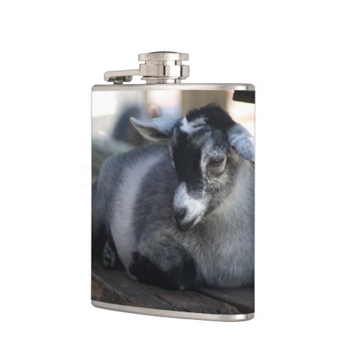 Goat Flask