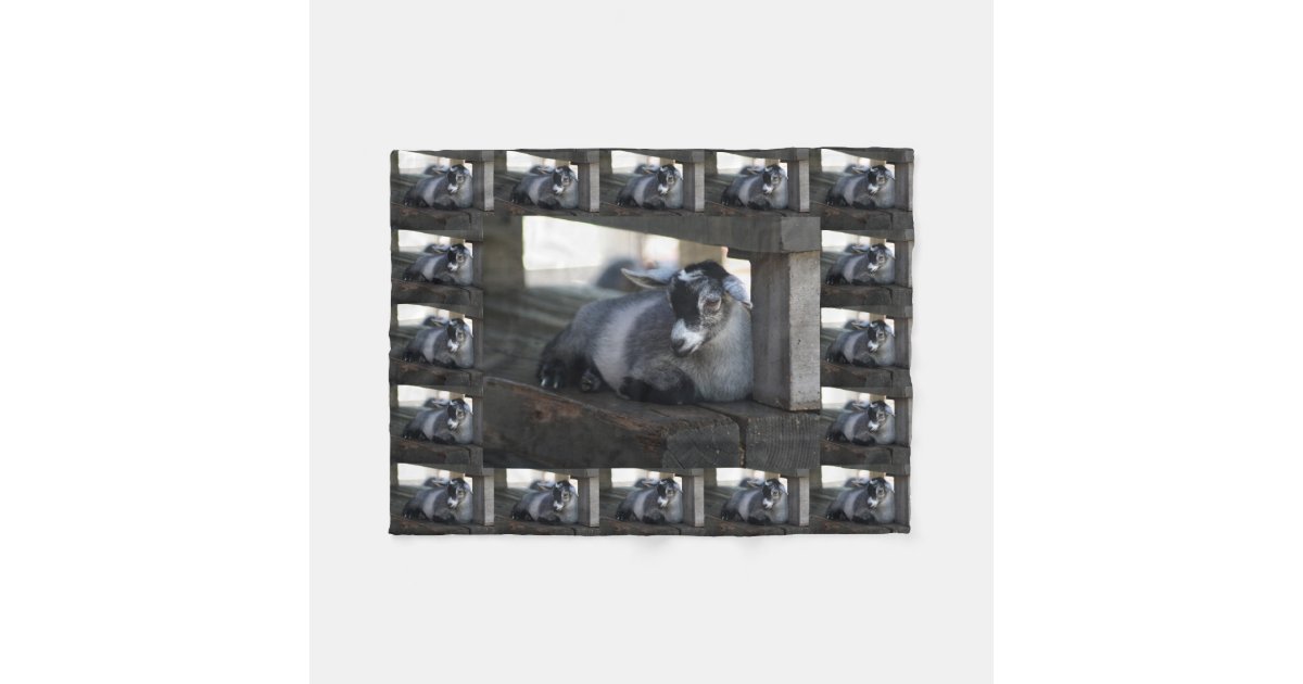 Goat Fleece Blanket Zazzle