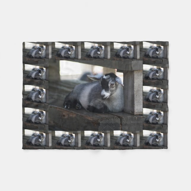 Goat Fleece Blanket (Front (Horizontal))