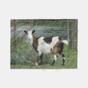 goat fleece blanket