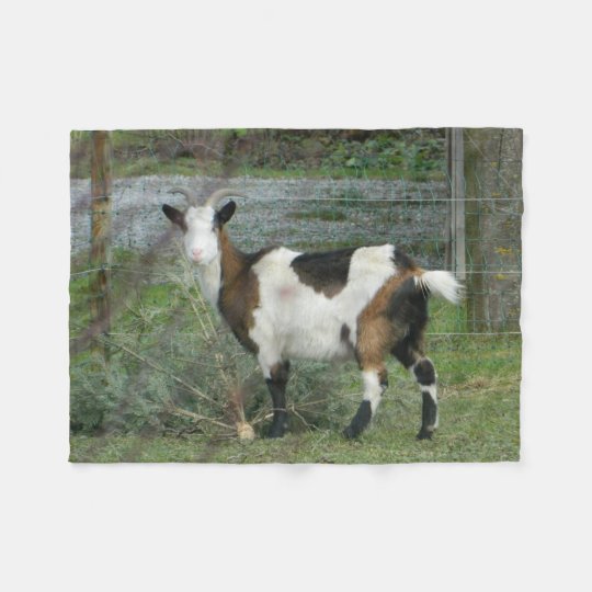 goat fleece blanket