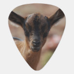 Goat Guitar Pick