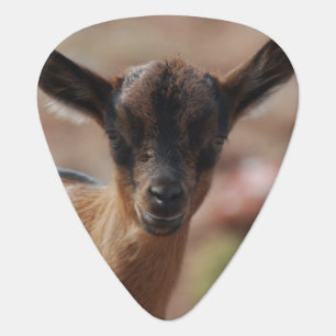 Goat Guitar Pick