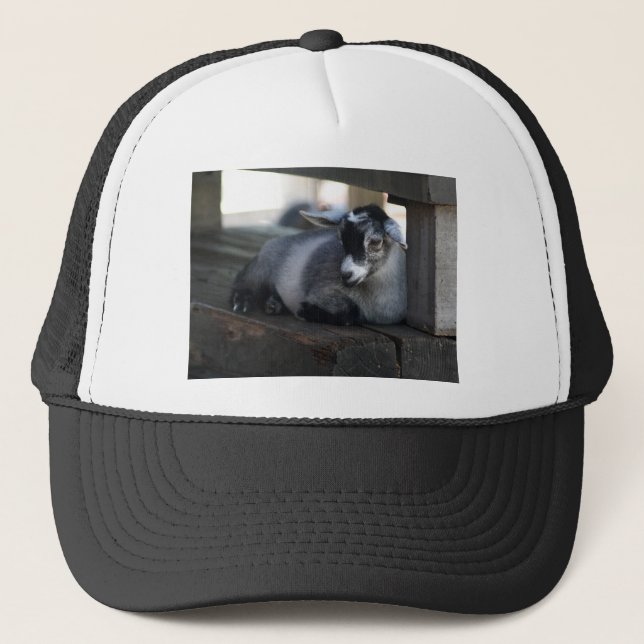 Goat Hat (Front)