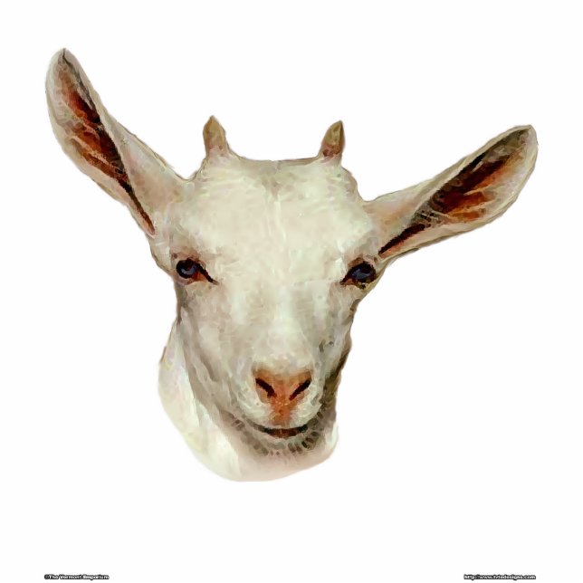 Goat Head Statuette (Front)