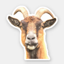 scrapbooking stickers party favours loot Goat Sticker No.98