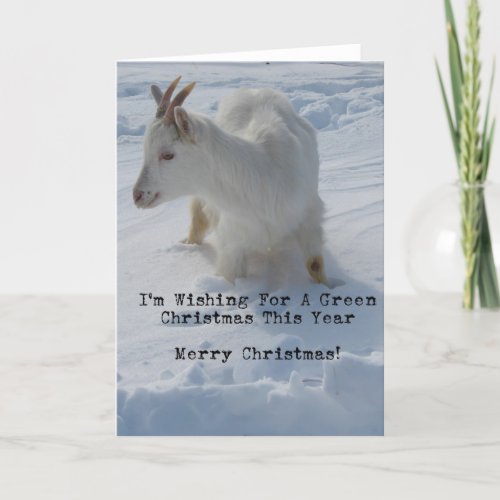 Goat In A Deep Snow Drift Merry Christmas Holiday Card