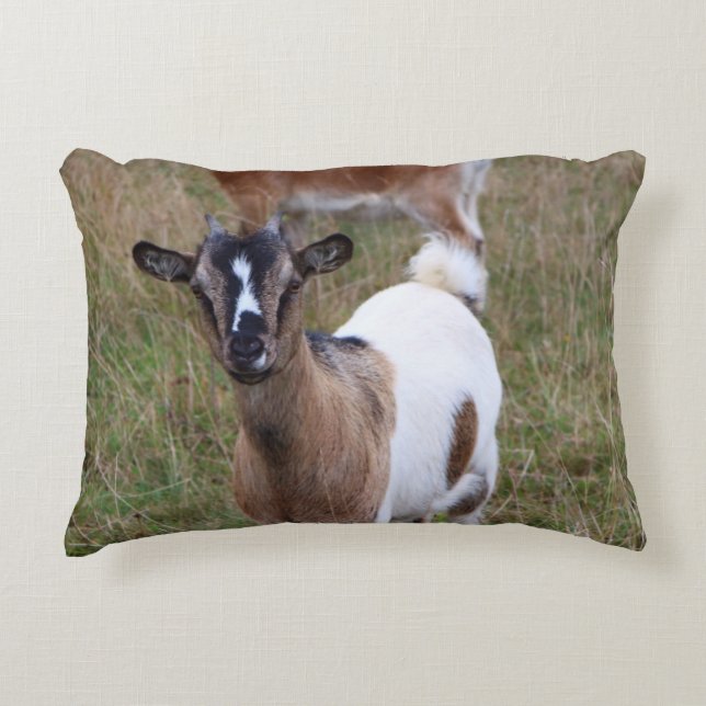 Goat in a field accent pillow (Front)