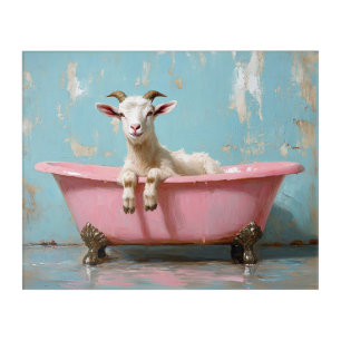 Goat in a Pink Bathtub Acrylic Print