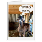 GOAT IS SO EXCITED FOR YOUR TWIN BIRTH-DOUBLE LOVE (Front)