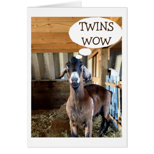 GOAT IS SO EXCITED FOR YOUR TWIN BIRTH-DOUBLE LOVE (Front)