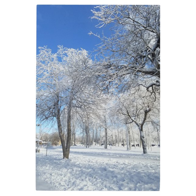 Goat Island New York Travel Photograph Art (Front)