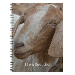 Goat Kauai (my photography) Notebook