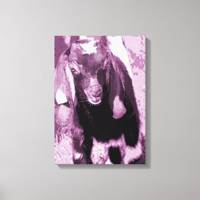 Goat Kid in Purple Shades Canvas Print (Front)