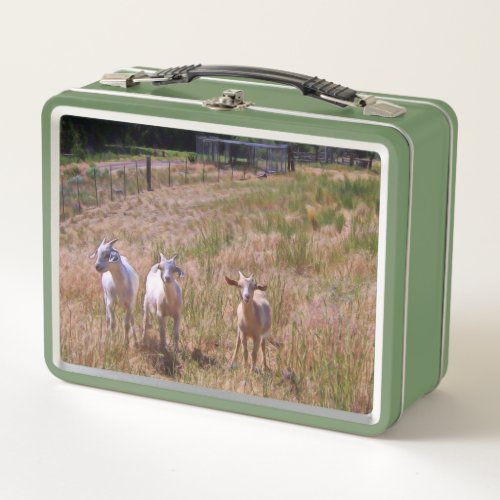 Goat Kids in the Pasture Metal Lunch Box
