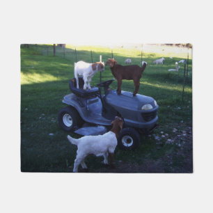 Goat Kids on as Mower Doormat