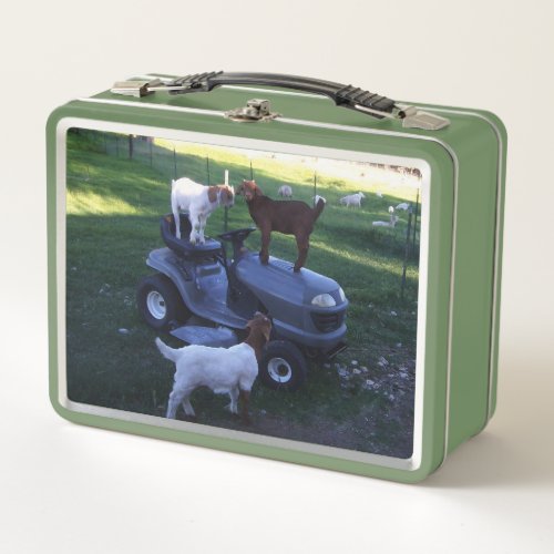 Goat Kids on as Mower Metal Lunch Box