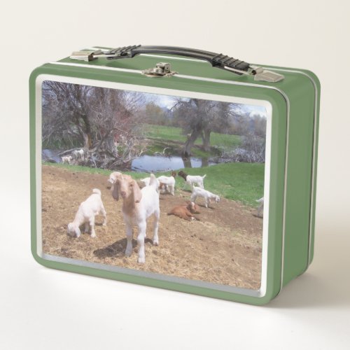 Goat Kids on the Pond Metal Lunch Box