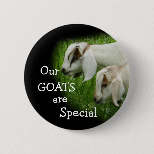 Goat Kids pin-personalize Button