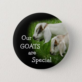 Goat Kids Pin-personalize Button by MakaraPhotos at Zazzle