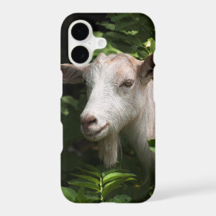 Goat looking at camera iPhone 17 case