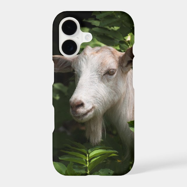 Goat looking at camera Case-Mate iPhone case (Back)