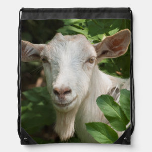 Goat looking at camera drawstring bag