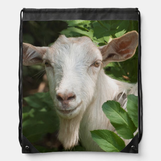 Goat looking at camera drawstring bag (Front)