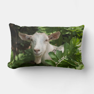 Goat looking at camera lumbar pillow