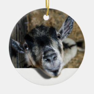 Goat Looking Out Ceramic Ornament