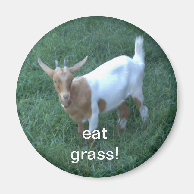 goat magnet (Front)