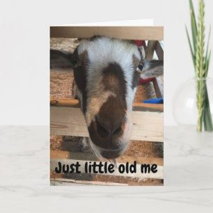 GOAT MAKING FUN OF YOU ON YOUR **60th** BIRTHDAY Card