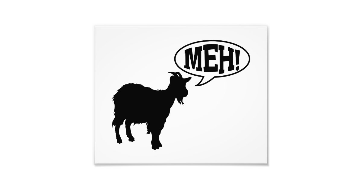 Goat Meh Photo Print | Zazzle