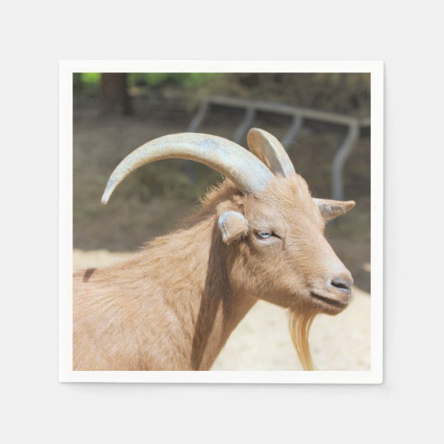 Goat Napkins (Front)