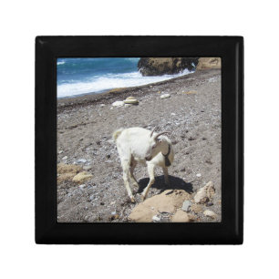 Goat on the Beach Wooden Jewelry Keepsake Box