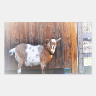 Goat On The Farm Sticker
