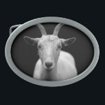 Goat Oval Belt Buckle<br><div class="desc">Great closeup photo of a white goat on a black background. If you like these cool animals then you should check out related products and gift ideas with this amazing photo.</div>