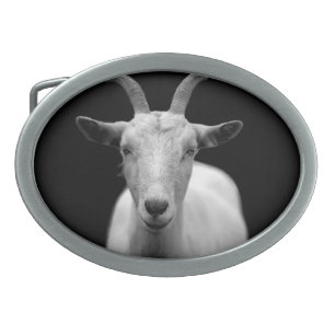 Goat Oval Belt Buckle