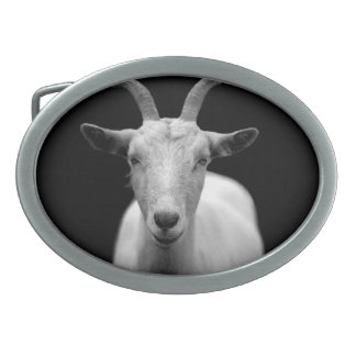Goat Oval Belt Buckle