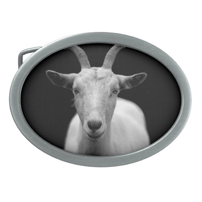 Goat Oval Belt Buckle (Front)