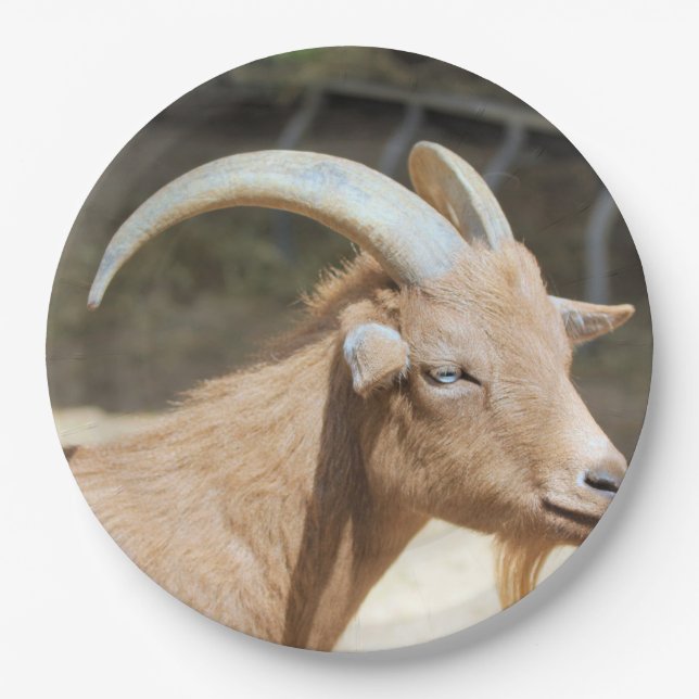 Goat Paper Plates (Front)