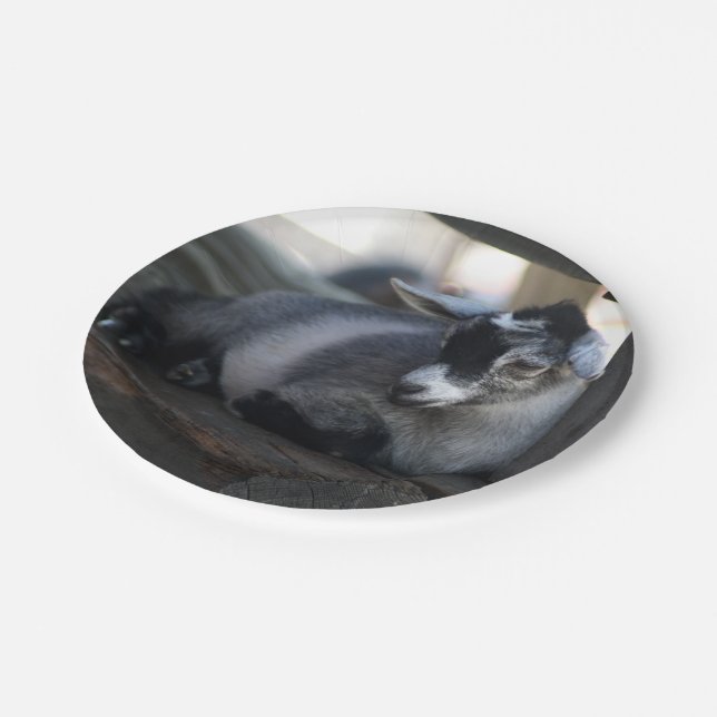 Goat Paper Plates (Angled)