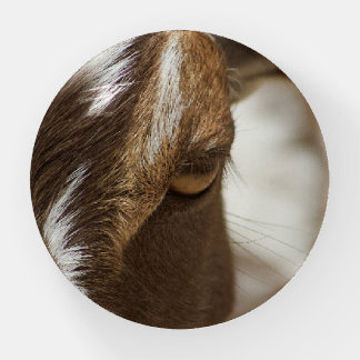 Goat Paperweight