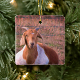 Goat Photo Ceramic Ornament