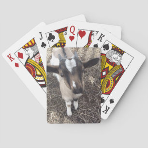 Goat Photo Playing Cards