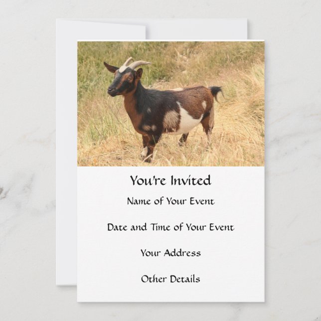 Goat Picture Invitation (Front)