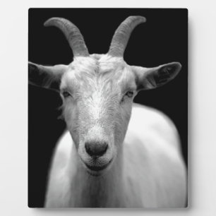 Goat Plaque